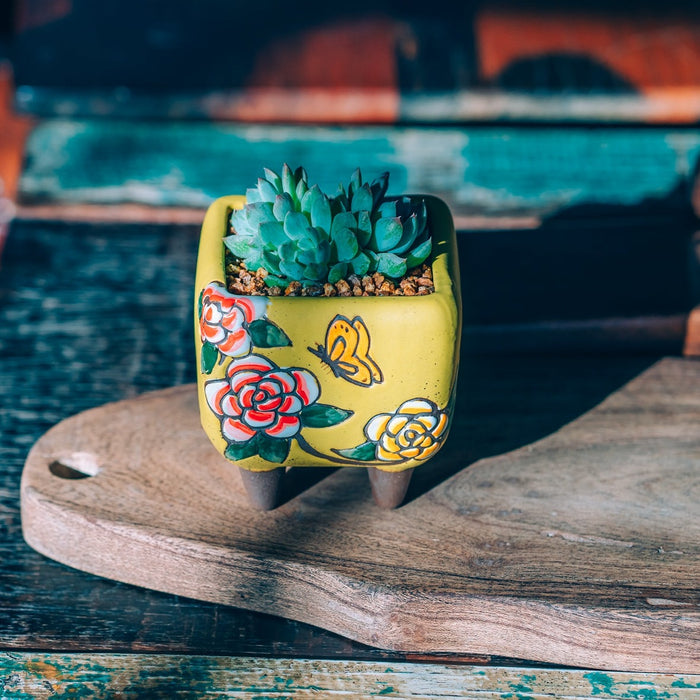 Bloom Planter