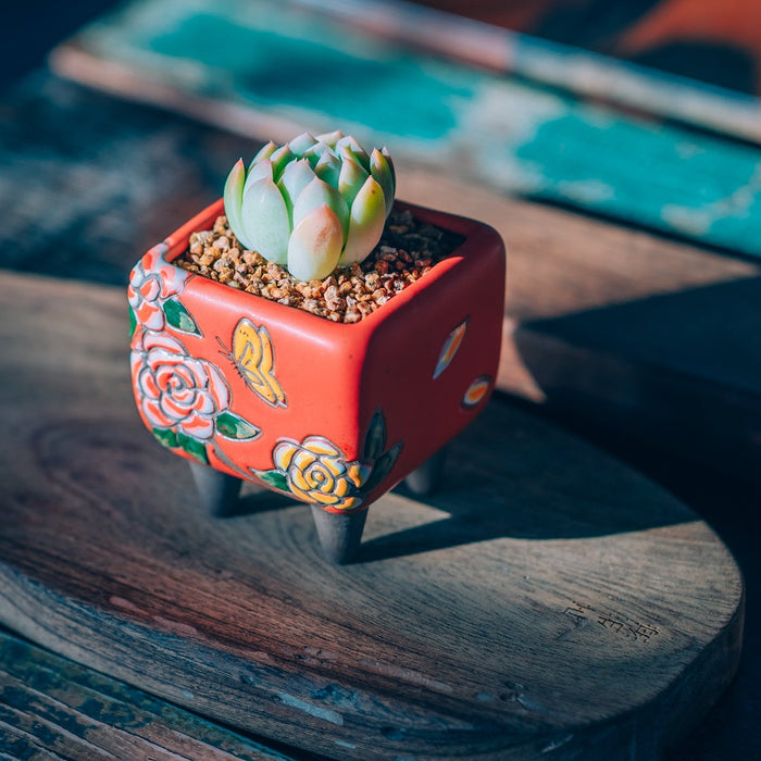 Bloom Planter