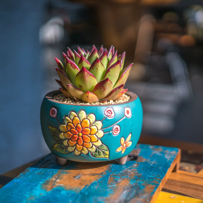 Petal Planter