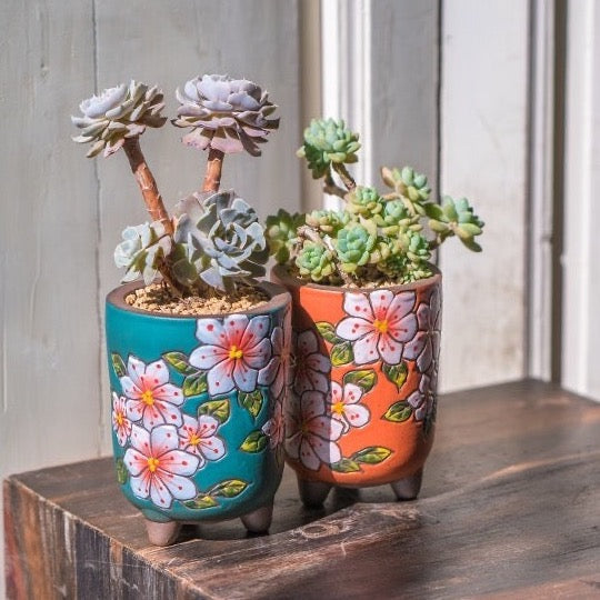 Blossom Planter